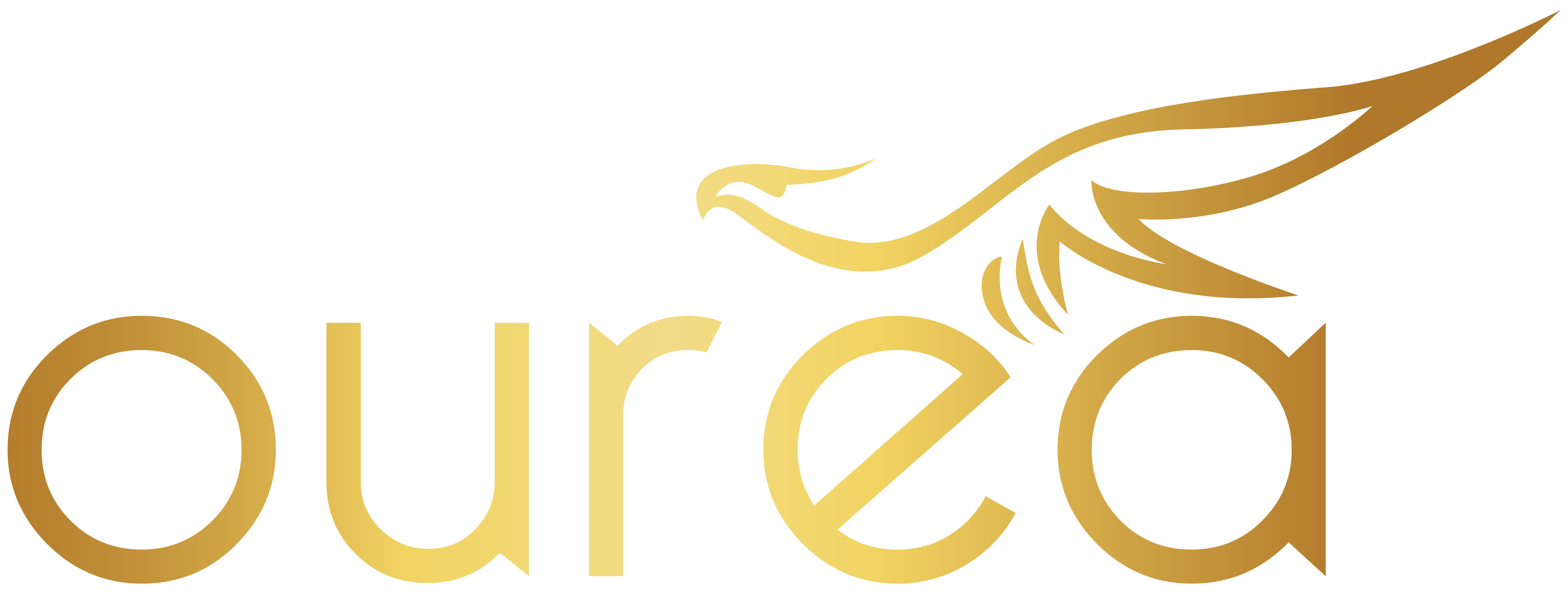 OureanSoul Private Limited